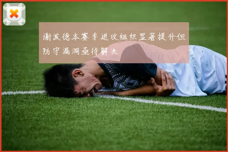 谢泼德本赛季进攻组织显著提升但防守漏洞亟待解决