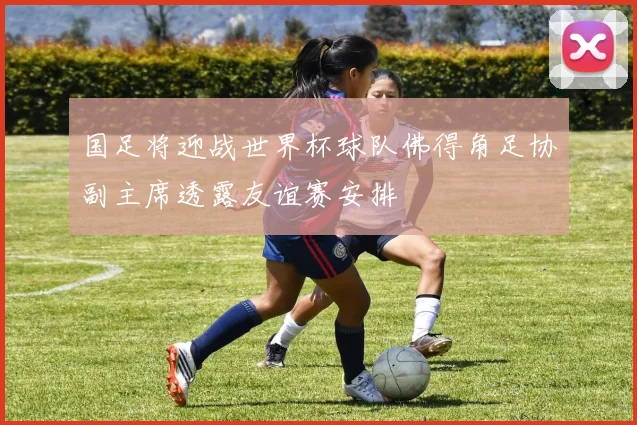 国足将迎战世界杯球队佛得角足协副主席透露友谊赛安排