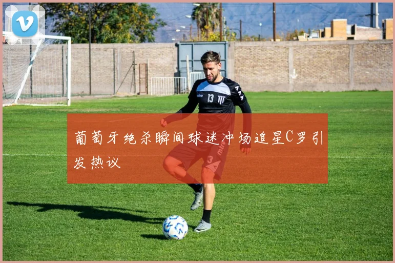 葡萄牙绝杀瞬间球迷冲场追星C罗引发热议